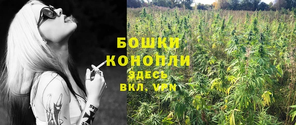 соль ск Надым