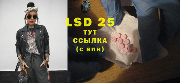 ГАЛЛЮЦИНОГЕННЫЕ ГРИБЫ Наволоки