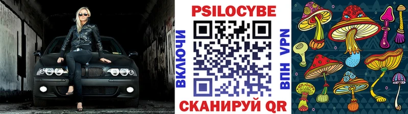 Купить закладки  Чекалин  Галлюциногенные грибы Psilocybine cubensis 
